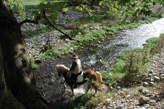 activities14