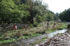 activities15