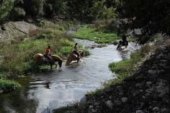activities16