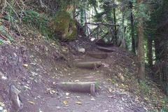autumn09
