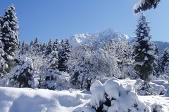 winter002