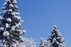 winter003