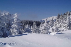 winter007