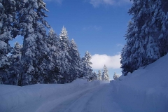 winter010