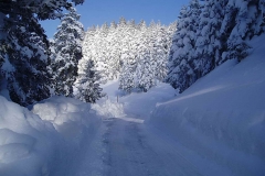 winter011