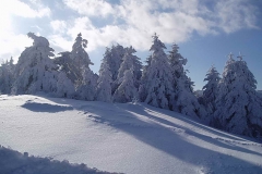 winter012