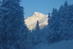 winter016