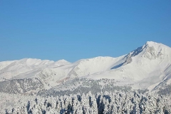 winter019