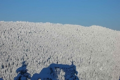 winter020