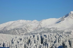 winter021