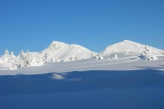 winter024