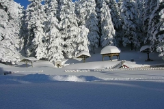 winter025