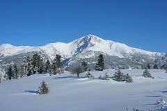 winter026