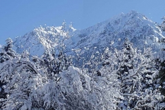 winter029