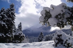 winter034