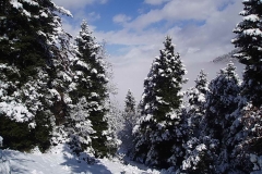 winter035