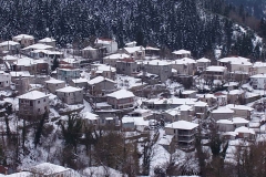 winter041