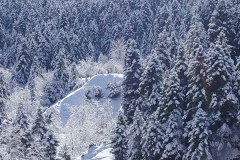 winter043