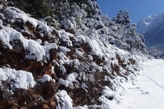 winter044