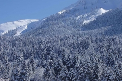 winter046