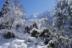 winter048