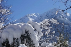 winter050