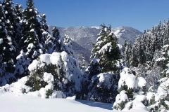 winter052