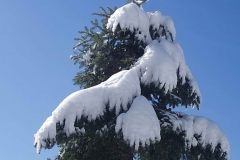 winter054