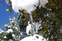 winter055