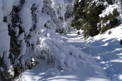 winter056