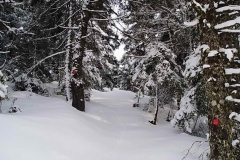 winter062