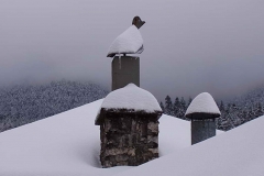 winter064