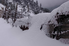 winter065