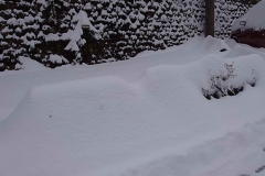 winter067