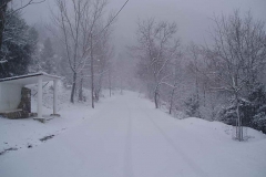 winter079
