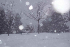 winter080