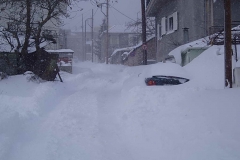 winter082