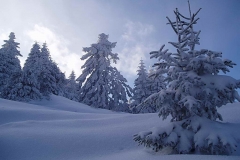 winter090
